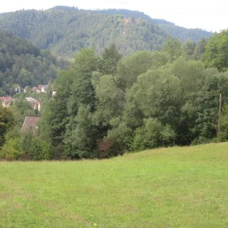 Schwabenhof * Schramberg