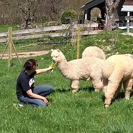 Schwabenhof Schramberg