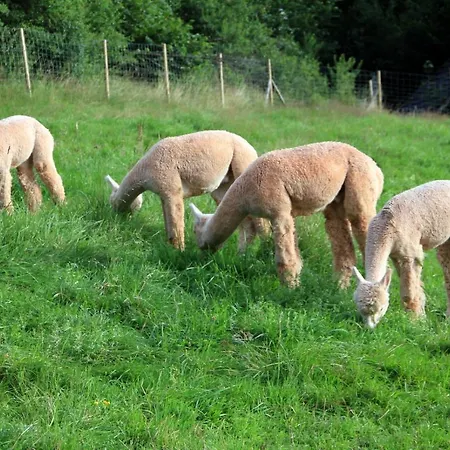 Schwabenhof * Schramberg