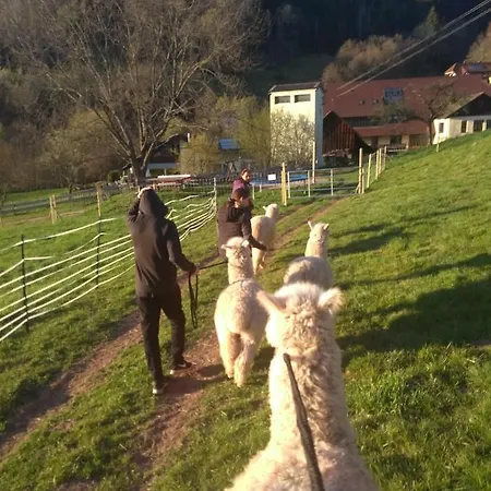 Διαμέρισμα Schwabenhof *