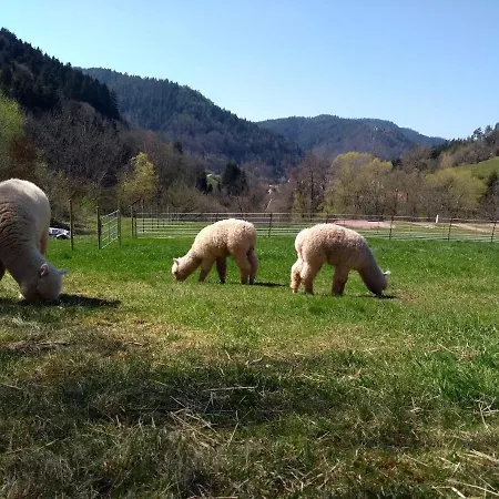 Διαμέρισμα Schwabenhof *